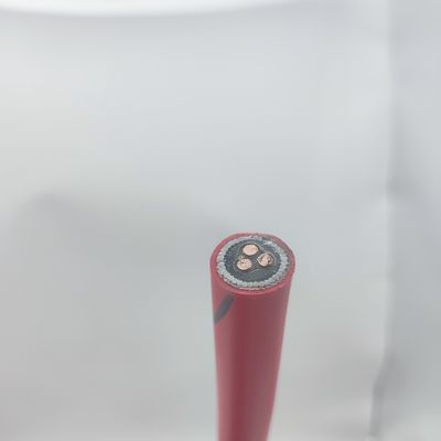 Хорошая цена Кабель приборов 300/500В 1T2.5 CU/MGT/XLPE/OS/FR/LSZH/GSWA/LSZH 1x3x2.5 Онлайн