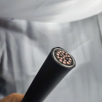 Хорошая цена Кабель приборов 300/500В 20Cores CU/MGT/XLPE/OS/FR/LSZH/GSWA/LSZH 20х2,5 Онлайн